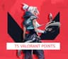 VALORANT Valorant Points Logo