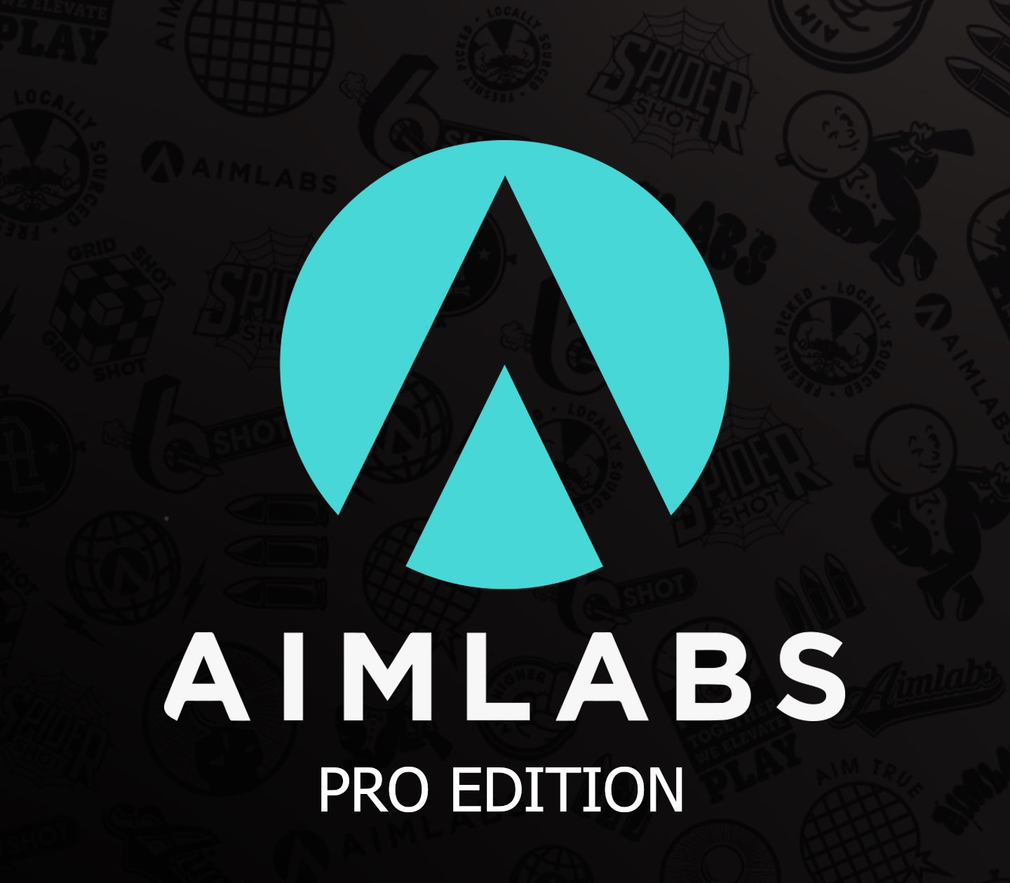 Aimlabs Professional Edition US Xbox Series X|S CD Key Logo