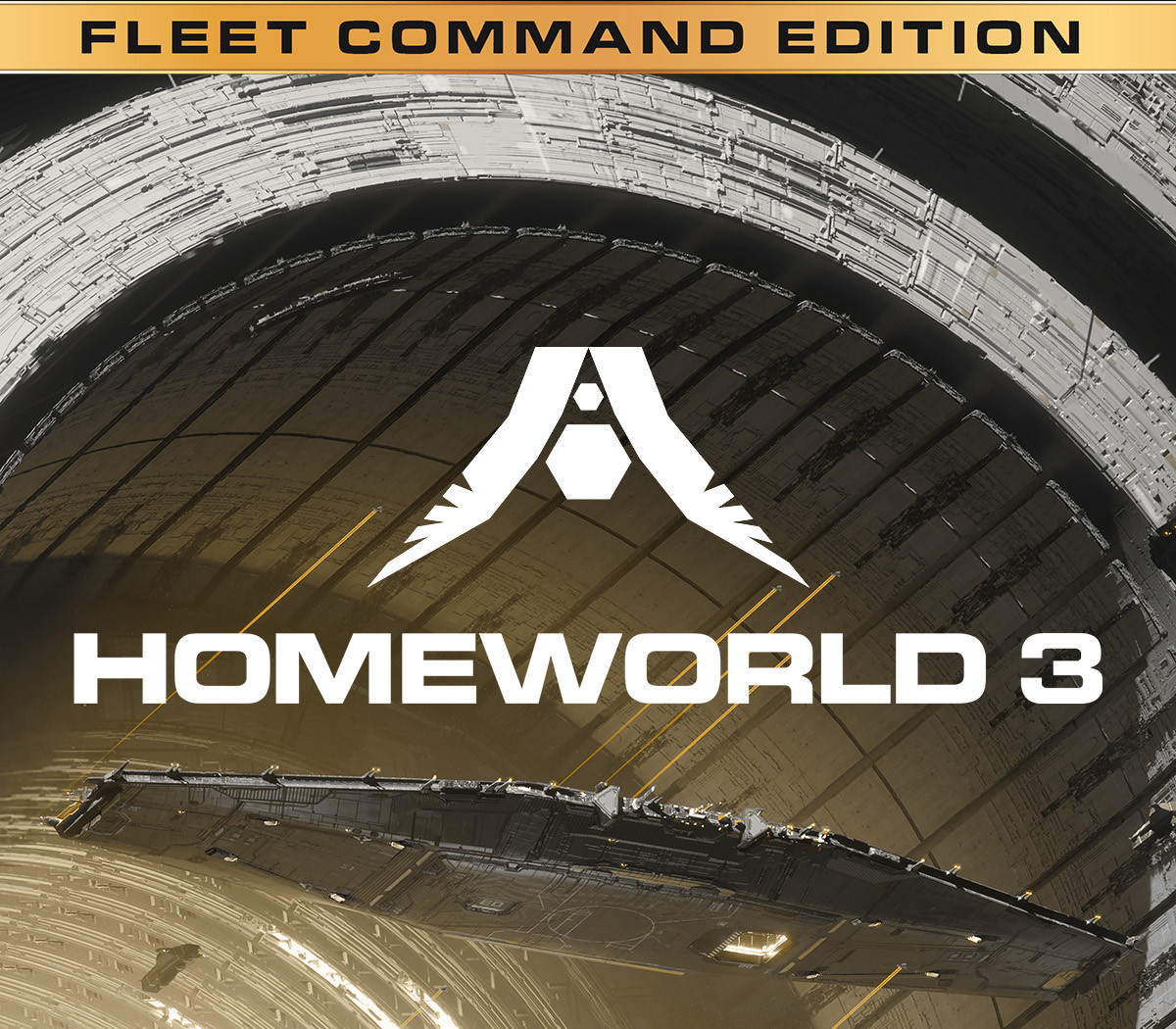 Homeworld 3 Fleet Command Edition Steam CD Key Logo