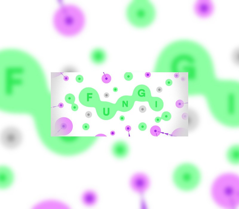 FUNGI Steam CD Key Logo