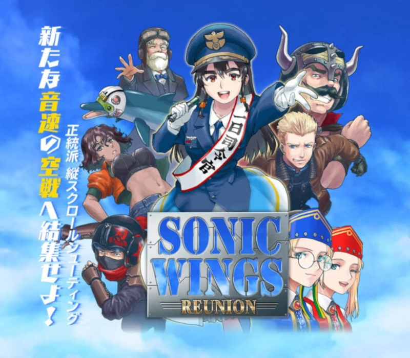 Sonic Wings Reunion EU Nintendo Switch CD Key Logo