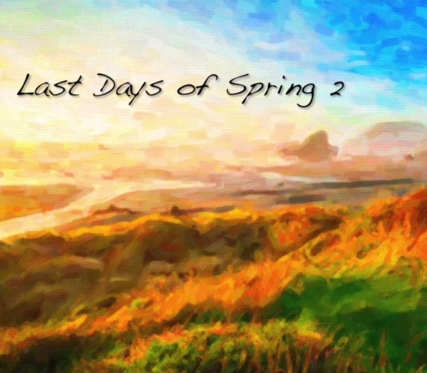 Last Days of Spring 2 Deluxe Edition PC Steam CD Key Logo