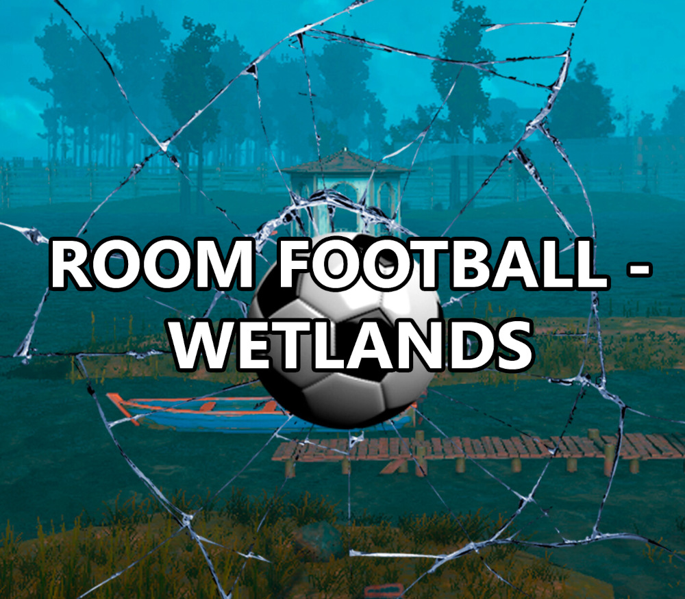 ROOM FOOTBALL: Wetlands PC Steam CD Key Logo