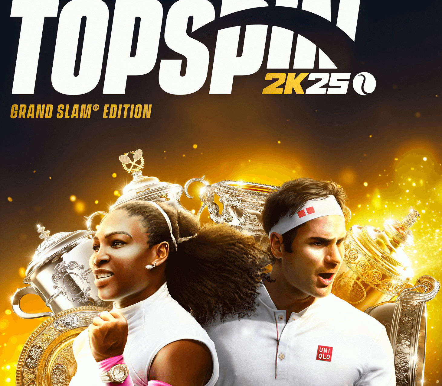 TopSpin 2K25 Grand Slam Edition TR PC Steam CD Key Logo