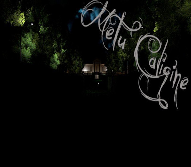 Metu Caligine PC Steam CD Key Logo