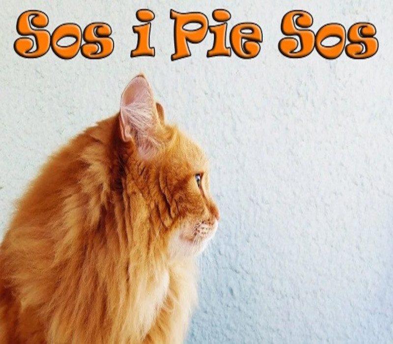 Sos i Pie Sos Steam CD Key Logo