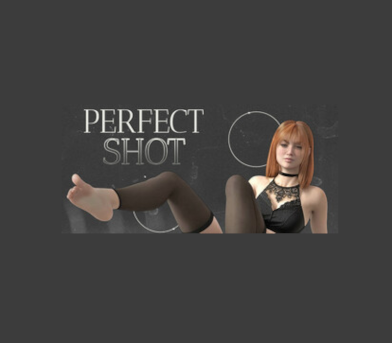 Perfect Shot PC Steam CD Key Logo