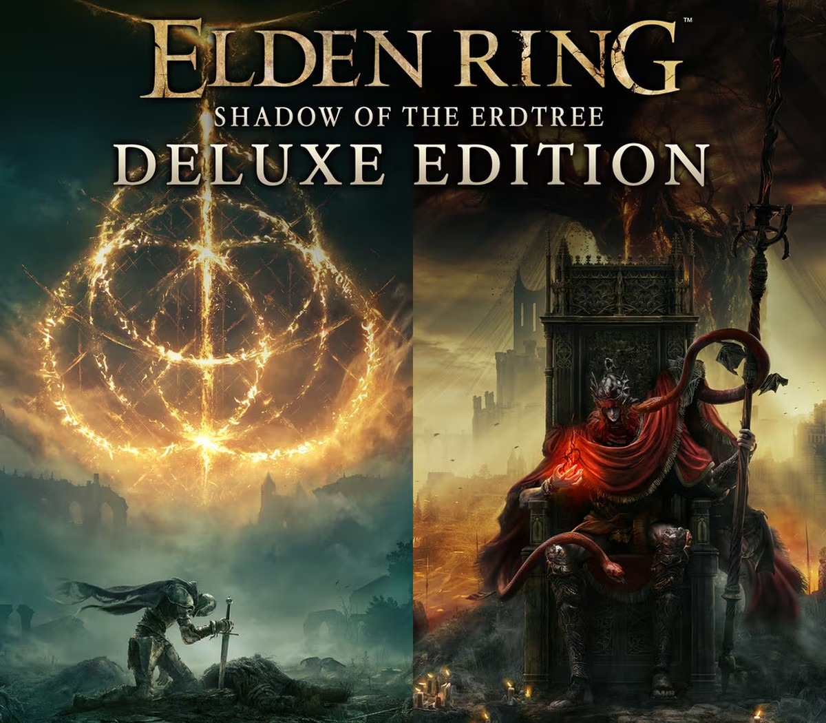 ELDEN RING: Shadow of the Erdtree Deluxe Edition EMEA PC Steam CD Key Logo