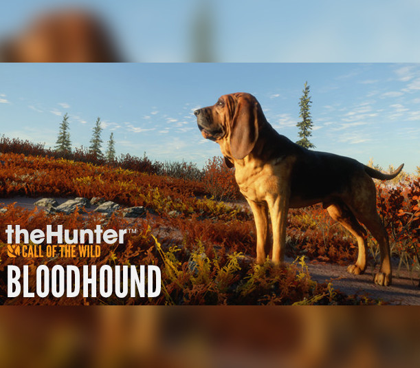 theHunter: Call of the Wild - Bloodhound DLC Steam CD Key Logo