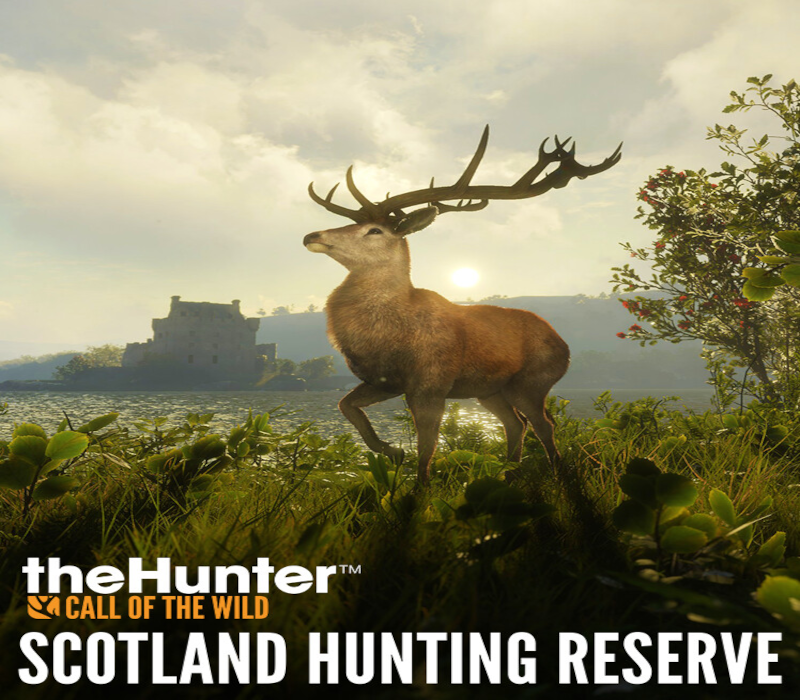 theHunter: Call of the Wild - Scotland Hunting Reserve DLC PC Steam CD Key Logo