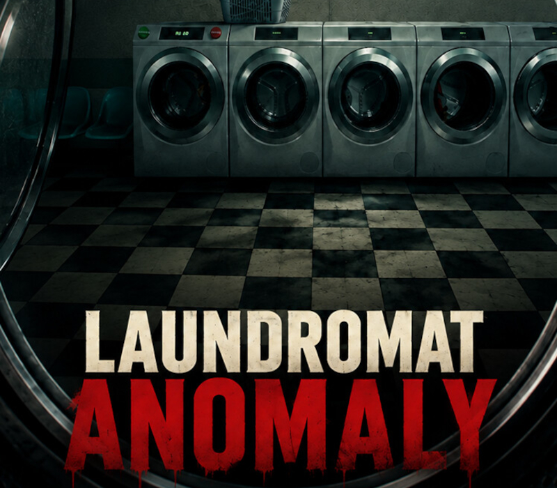 Laundromat Anomaly PC Steam CD Key Logo