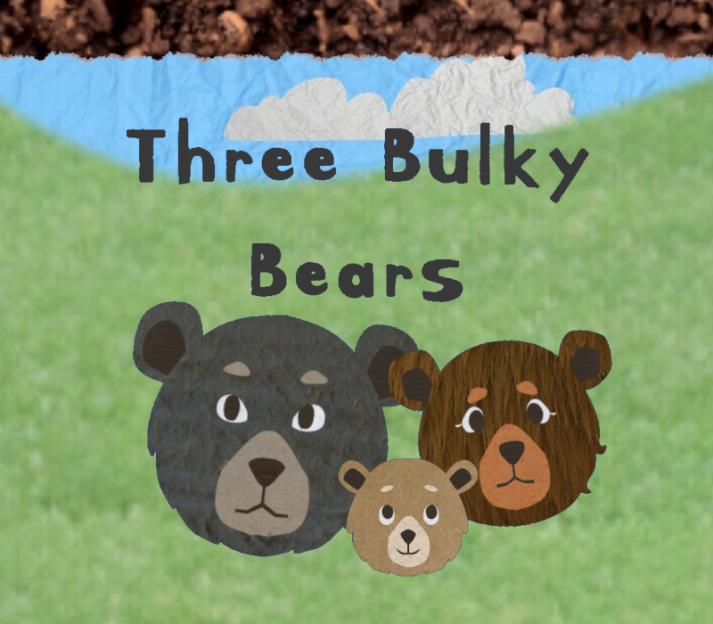 Three Bulky Bears PC Steam CD Key Logo