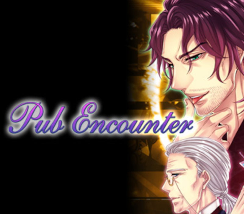 Pub Encounter PC Steam CD Key Logo