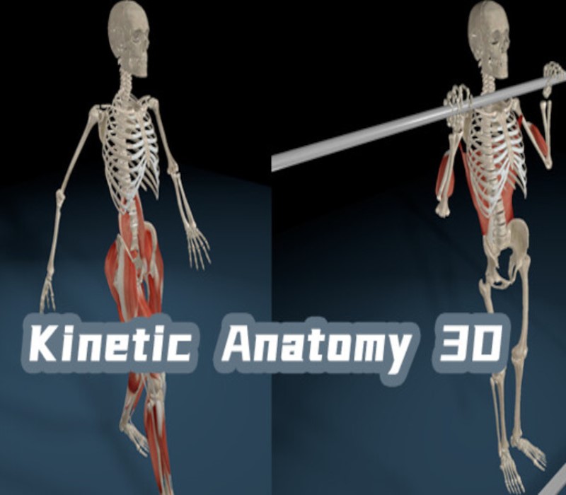 Kinetic Anatomy 3D PC Steam CD Key Logo