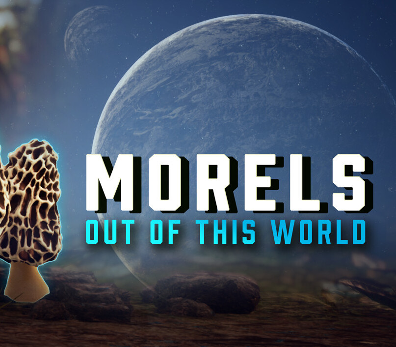 Morels: Out of this World PC Steam CD Key Logo