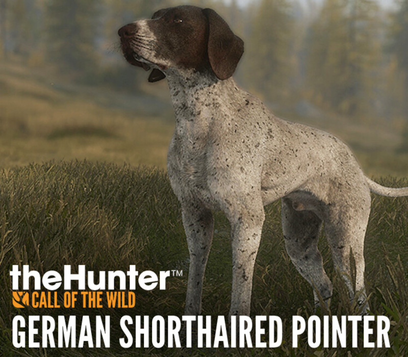 theHunter: Call of the Wild - German Shorthaired Pointer DLC PC Steam CD Key Logo