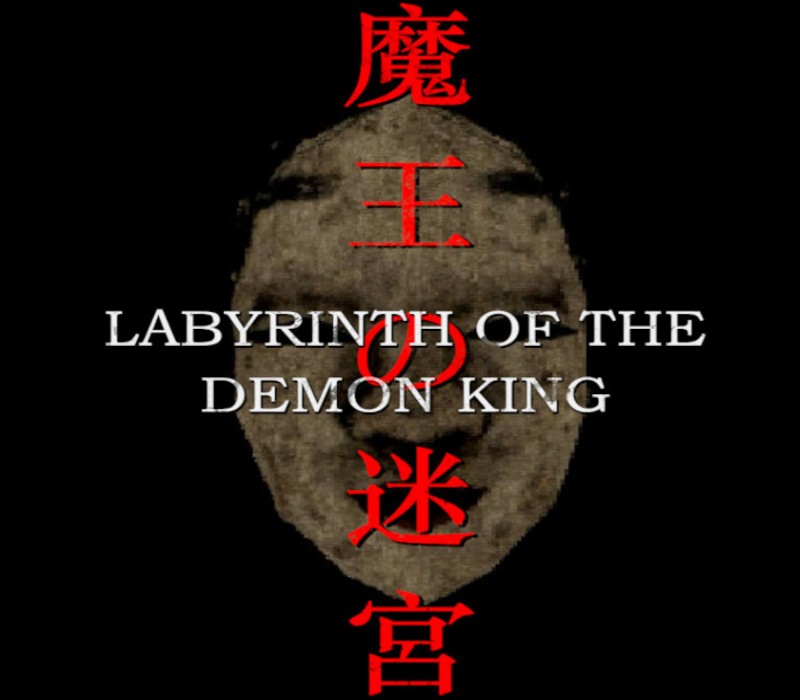 Labyrinth Of The Demon King PC Steam CD Key Logo
