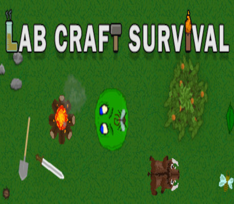 Lab Craft Survival Steam CD Key Logo