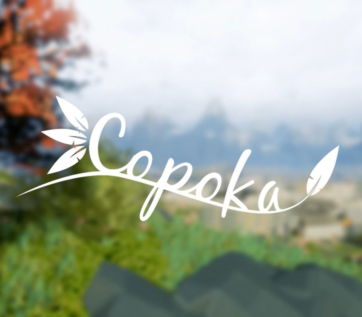 Copoka PC Steam CD Key Logo