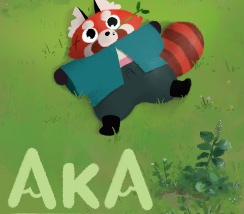 Aka PC Steam CD Key Logo
