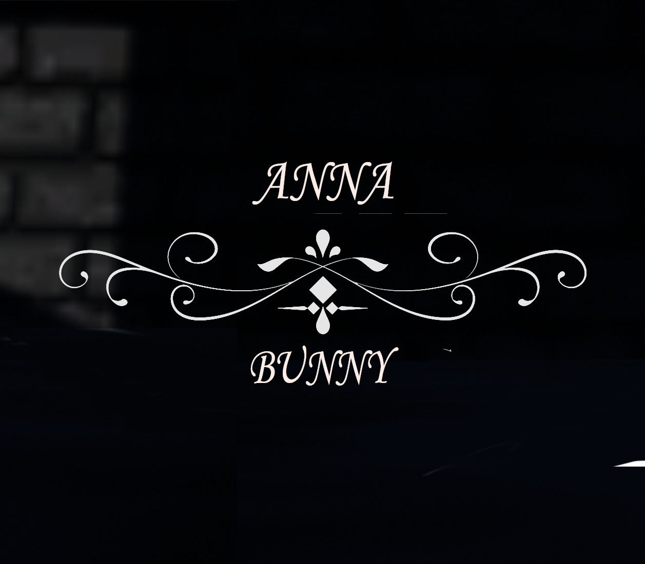 Anna bunny PC Steam CD Key Logo