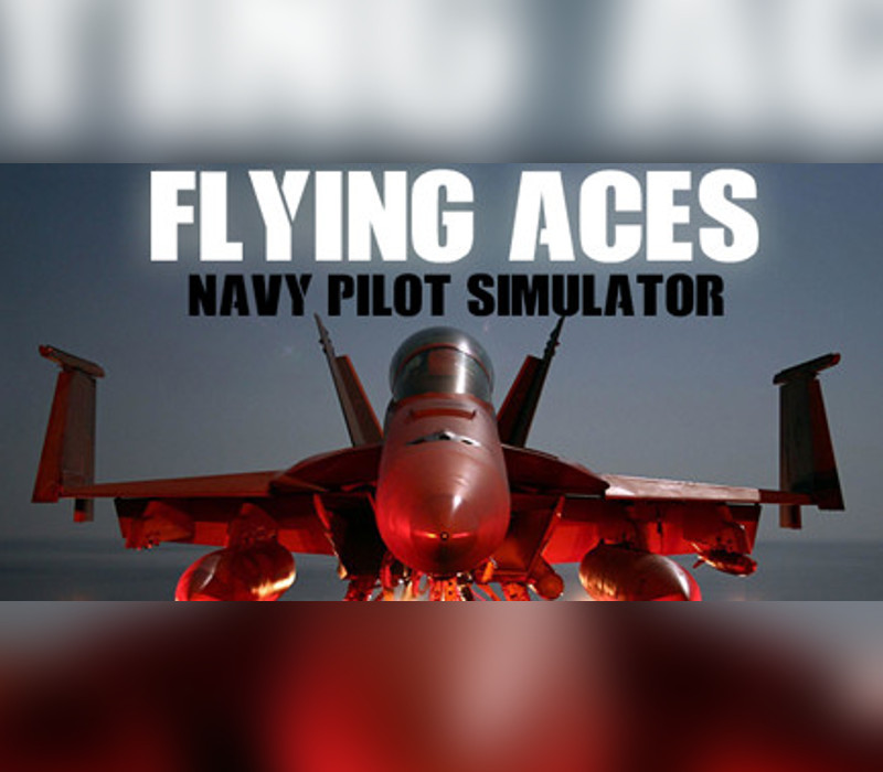 Flying Aces - Navy Pilot Simulator Steam CD Key Logo