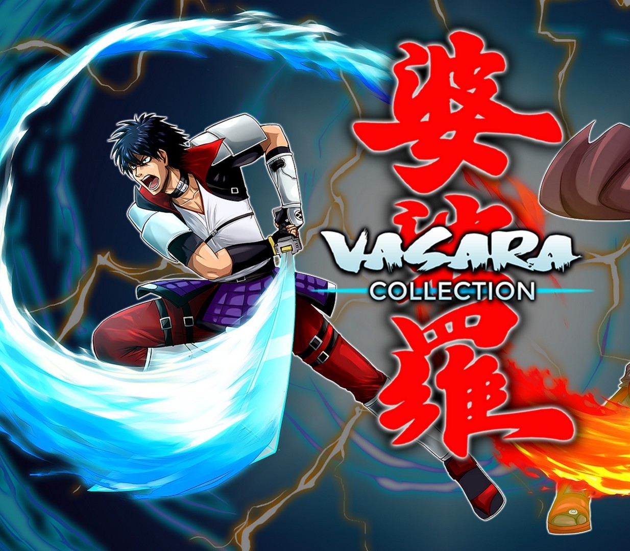 VASARA Collection PC Steam CD Key Logo