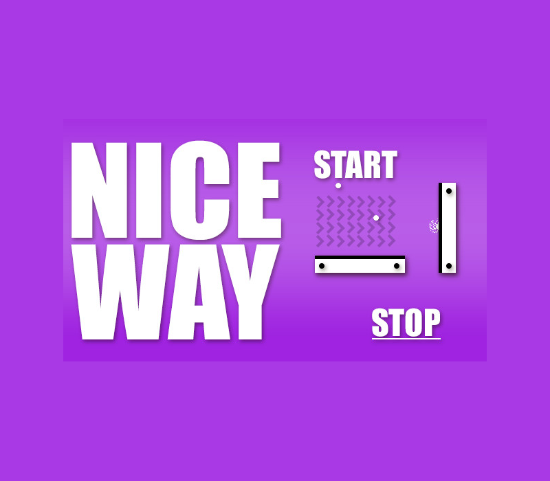 Nice Way PC Steam CD Key Logo