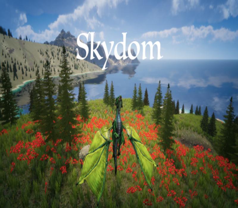 Skydom Steam CD Key Logo