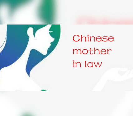 Chinese Mother in Law Steam CD Key Logo