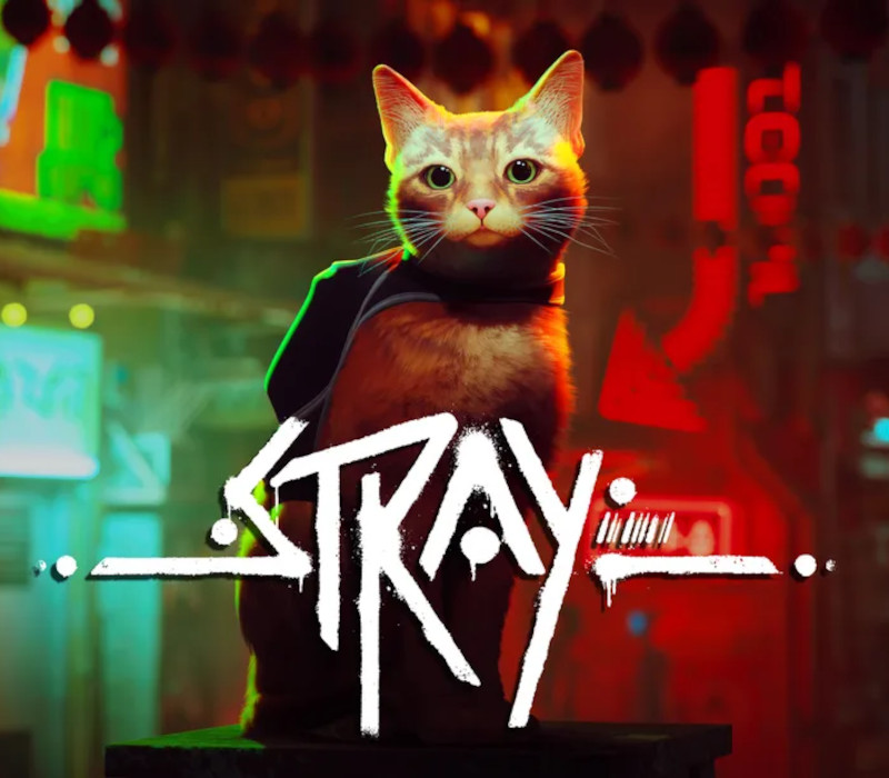 Stray EU PC Steam CD Key Logo