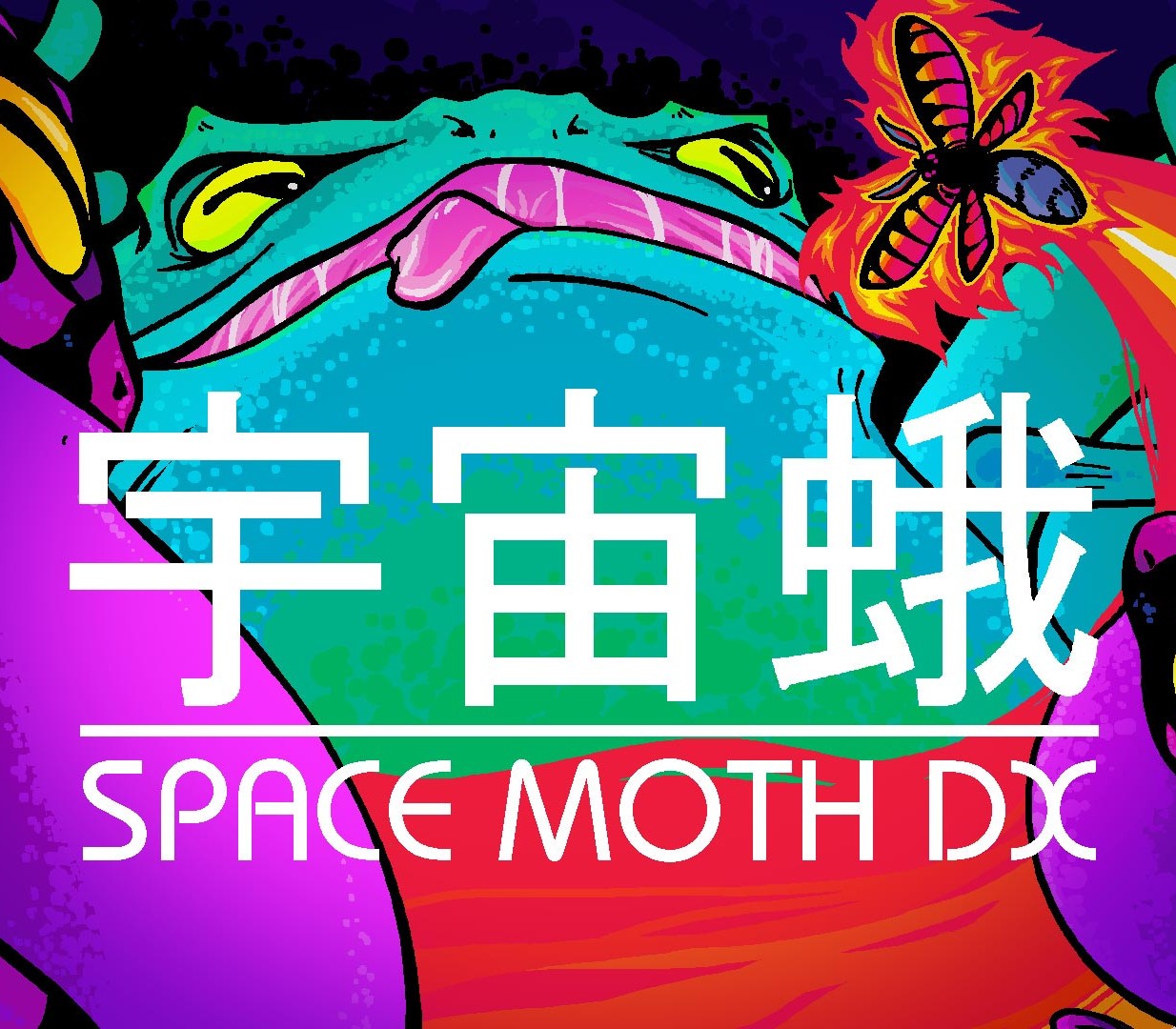 Space Moth DX Steam CD Key Logo
