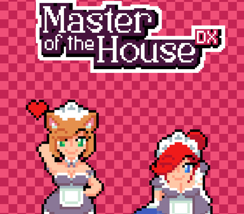 Master of the House DX PC Steam CD Key Logo