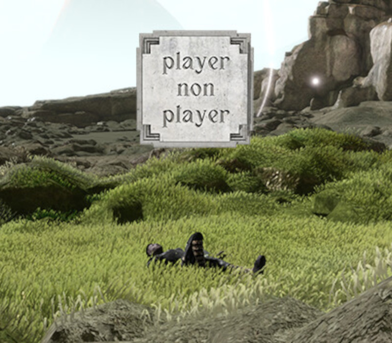 Player Non Player Steam CD Key Logo