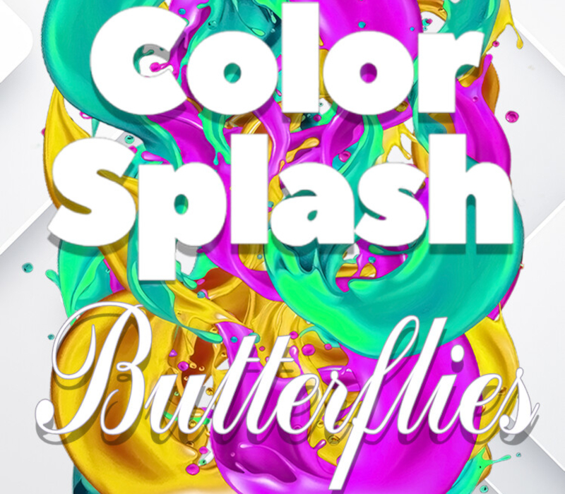Color Splash: Butterflies PC Steam CD Key Logo