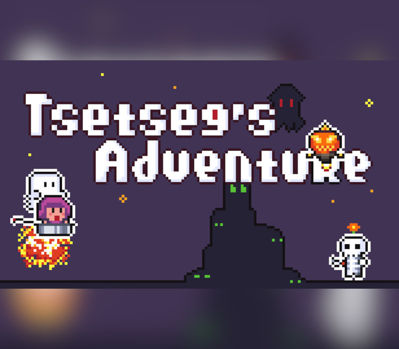 Tsetseg's Adventure Steam CD Key Logo
