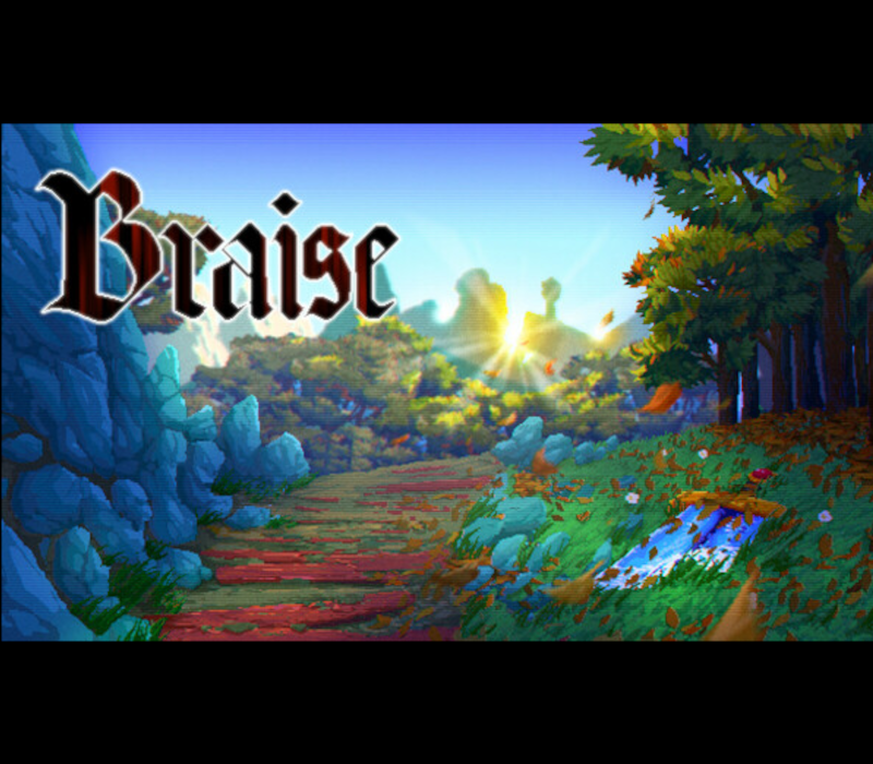 Braise PC Steam CD Key Logo