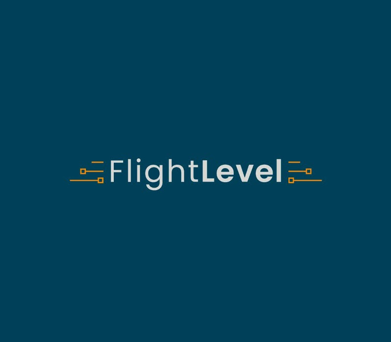 Flight Level PC Steam CD Key Logo