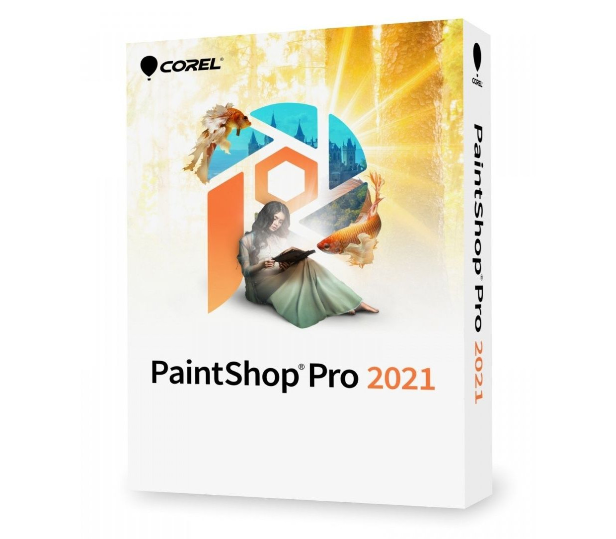 Corel PaintShop Pro 2021 CD Key Logo