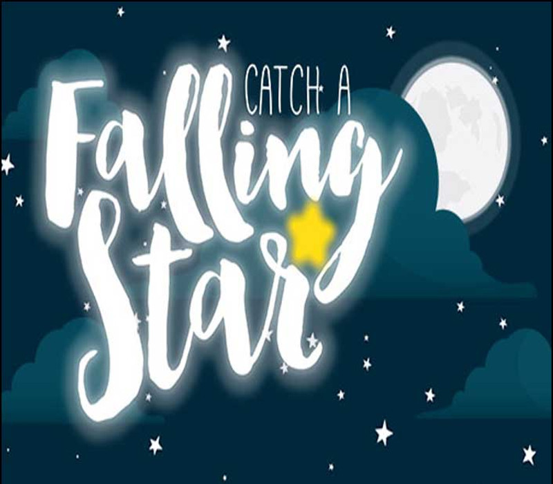 Catch a Falling Star PC Steam CD Key Logo