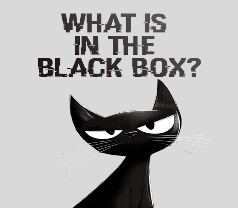 What is in the Black Box? PC Steam CD Key Logo