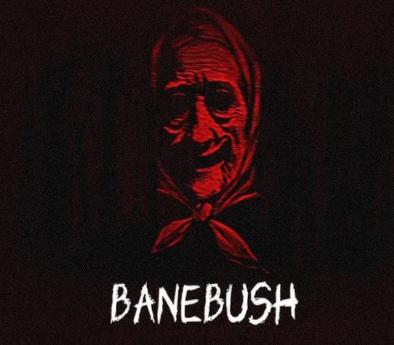 Banebush PC Steam CD Key Logo