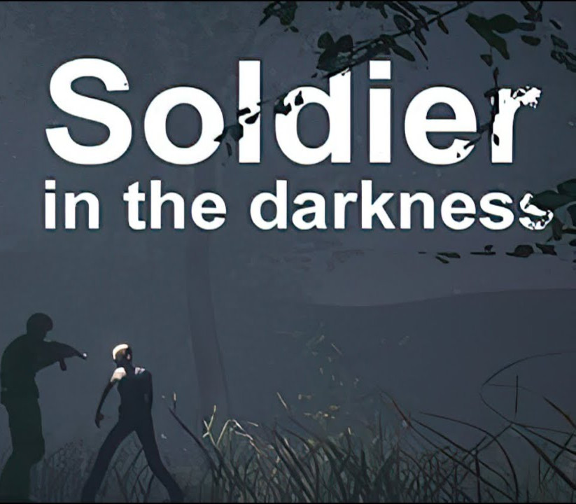 Soldier in the darkness Steam CD Key Logo