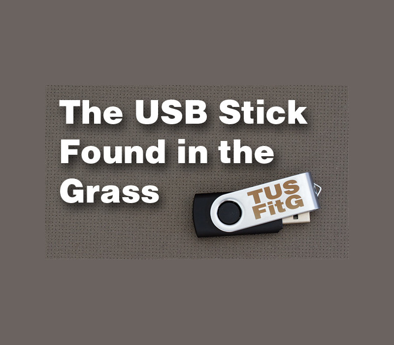 The USB Stick Found in the Grass Steam CD Key Logo