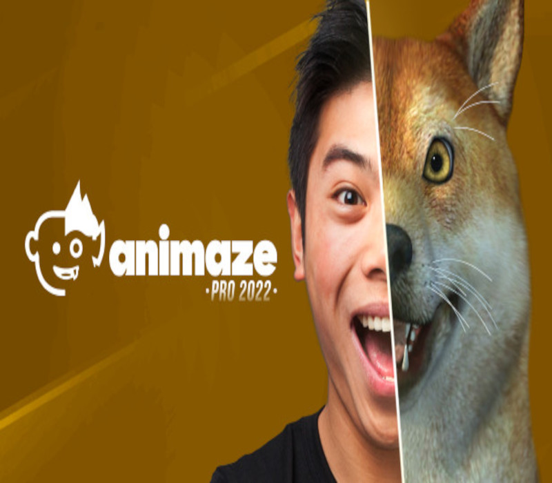Animaze Pro 22 - Lifetime License DLC Steam CD Key Logo