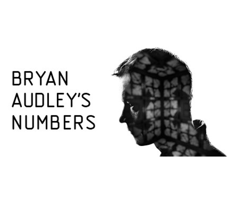 Bryan Audley's Numbers Steam CD Key Logo