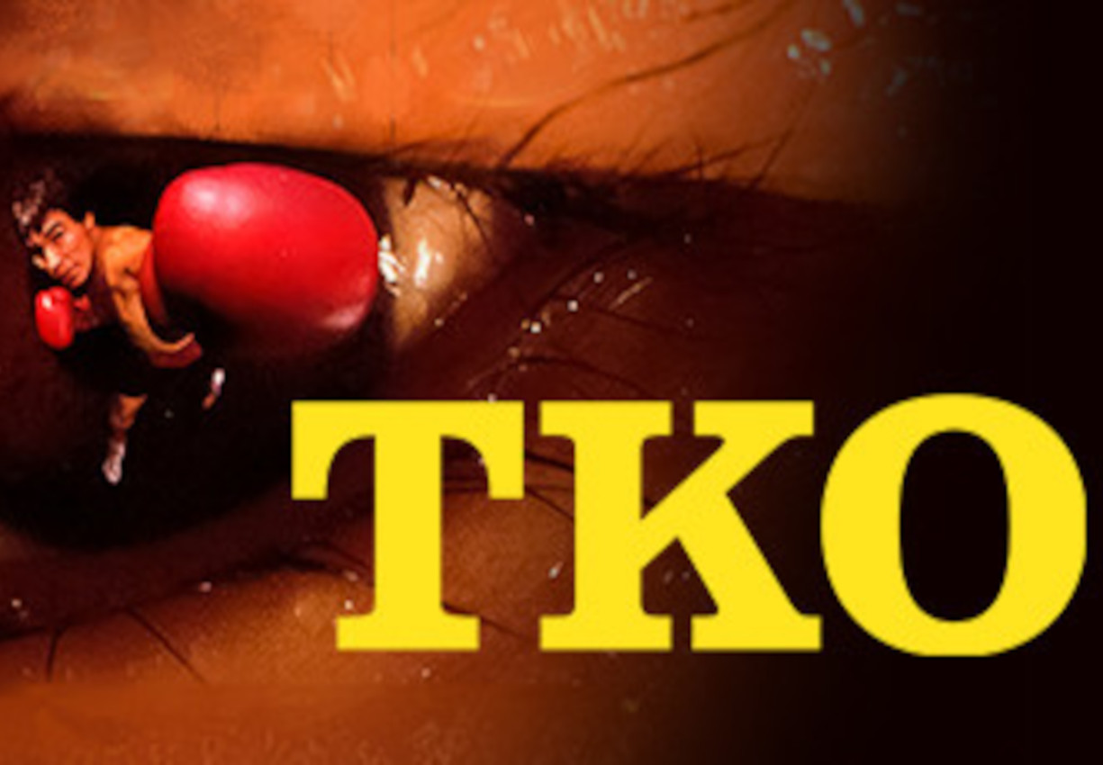 TKO Steam CD Key Logo
