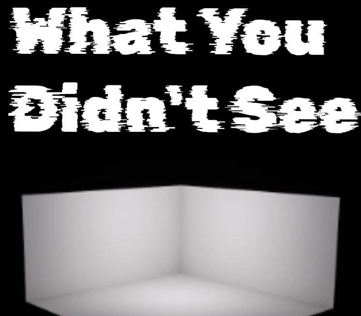 What You Didn't See PC Steam CD Key Logo