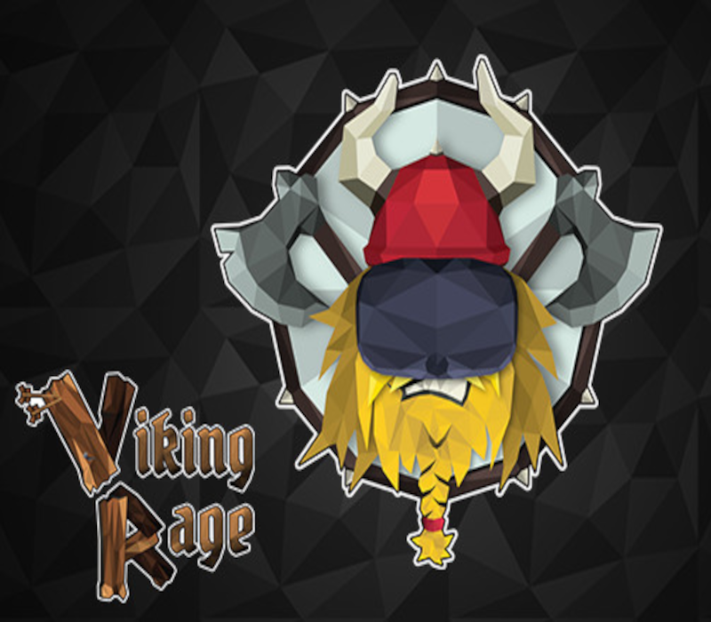 Viking Rage VR PC Steam CD Key Logo