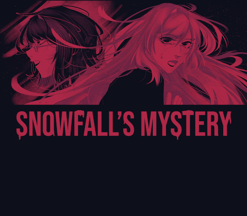 Snowfall's Mystery PC Steam CD Key Logo